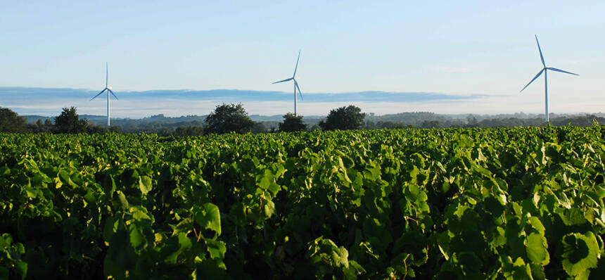 LIMOU_Photo_M.-BLANDIN