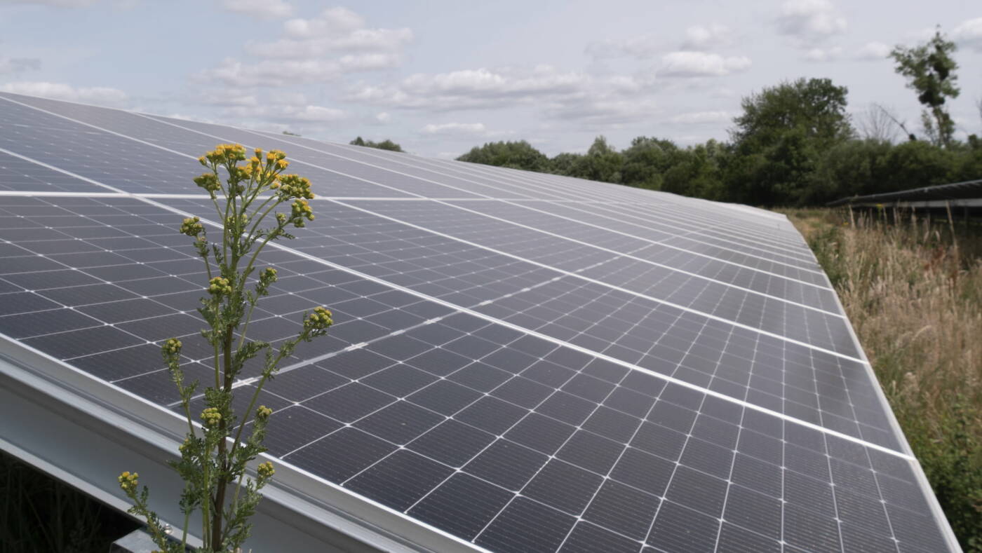 P1122169 copie_comp-EnR Juine et Renarde-Etréchy-Fleur et panneaux PV Centrale solaire EnR Juine et Renarde à Etréchy dans l’Essonne, co-financée par Energie Partagée