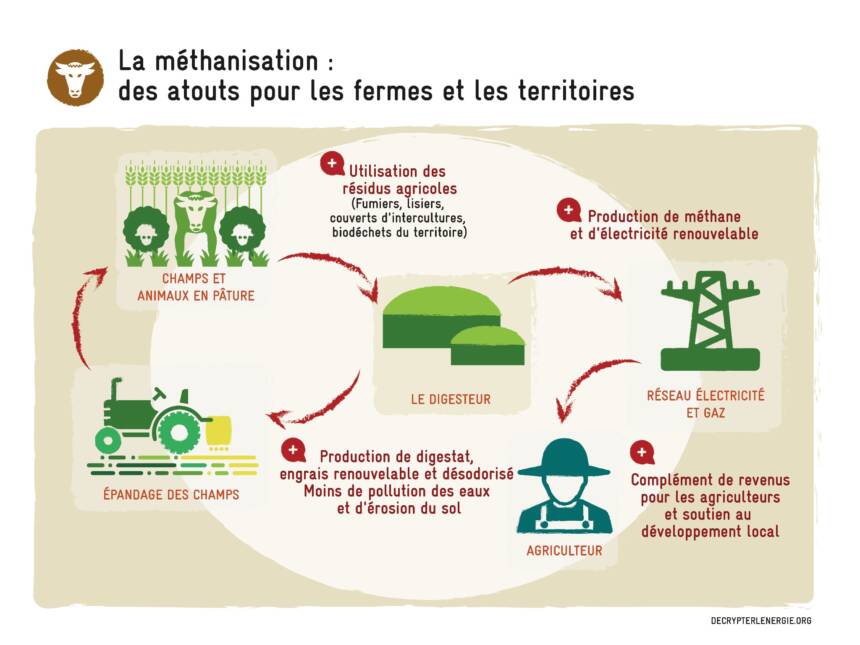 Décrypter l'énergie - Infographie méthanisation
