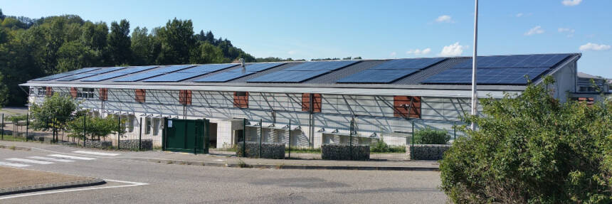 CV-Nidenergies-Nivolas-Vermelle-lycee-StMarc-1