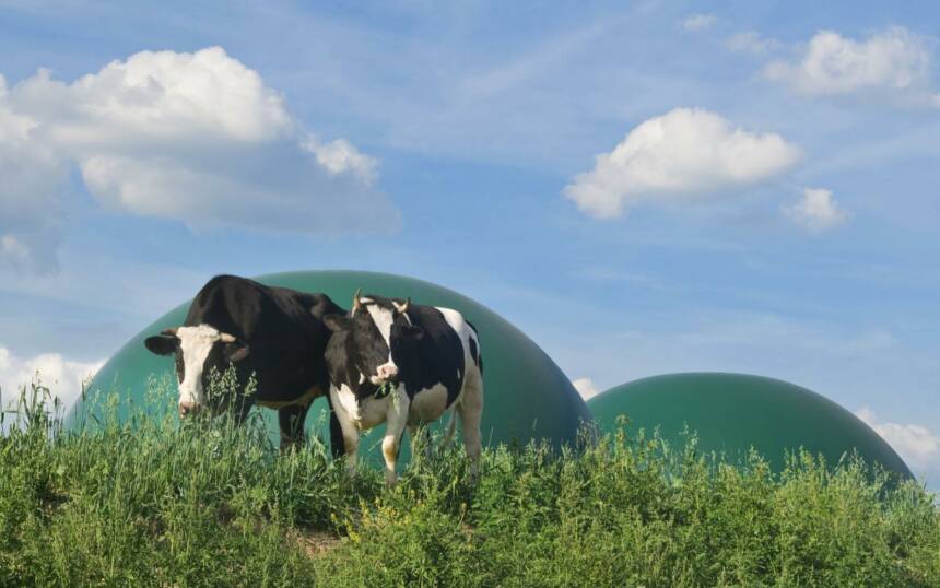 iStock-498459089-vaches et méthaniseur