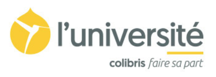 Capture d’écran 2021-03-15 à 12.00.56