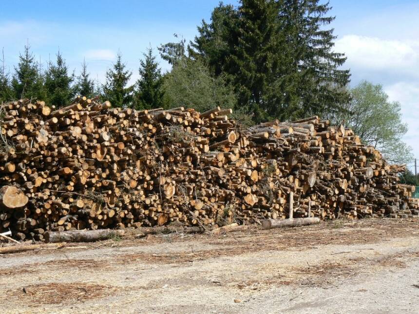 Empilement en bord de piste ou bord de route des stères de petits bois pour l’énergie.