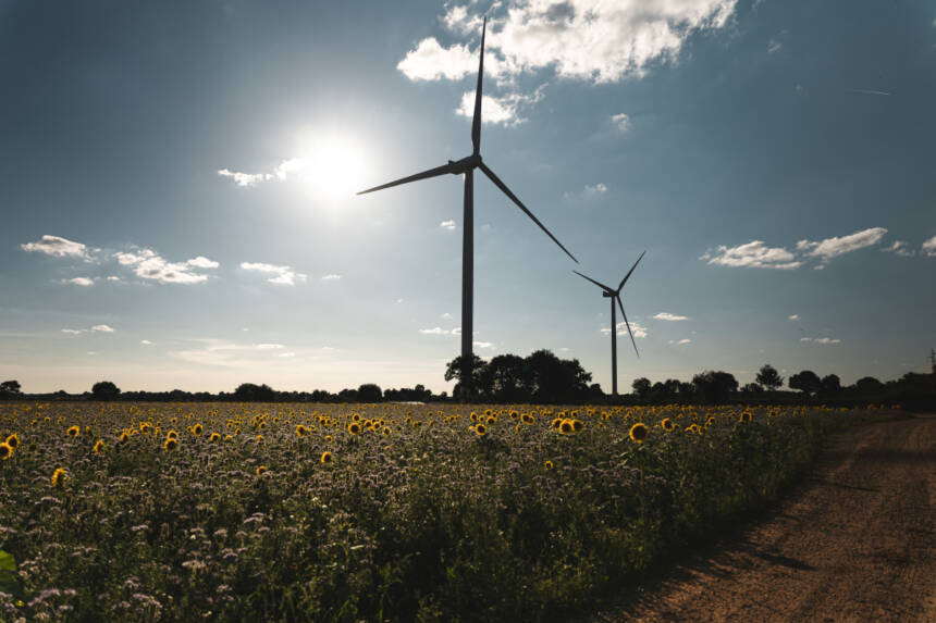 Vue à contre jour de deux éoliennes du parc Les Grands Fresnes dans un champs de tournesols