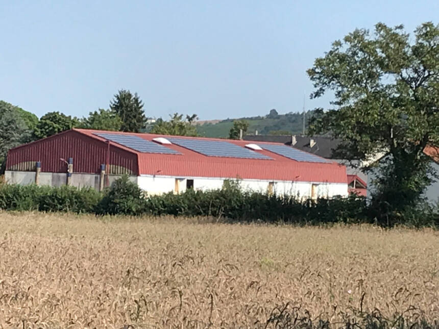 CoopdeSo-Pampelonne-gymnase-web