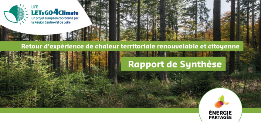 REX-bois-chaleur