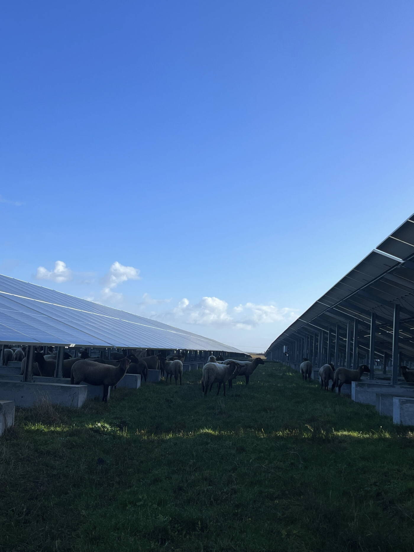 Inauguration de la centrale solaire citoyenne de Champ de Liveau, co-financée par Energie Partagée