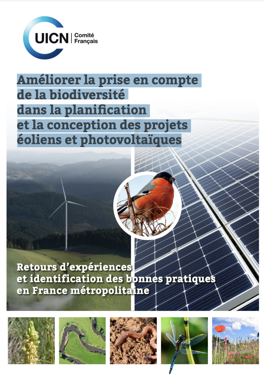 Capture d’écran 2023-12-20 à 10.26.50