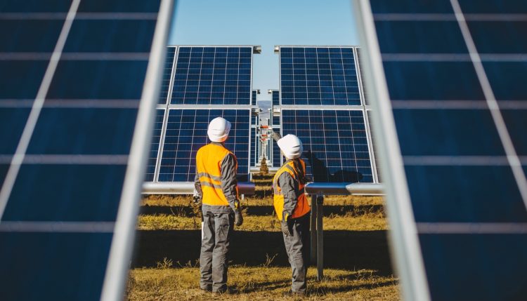 chantier parc solaire