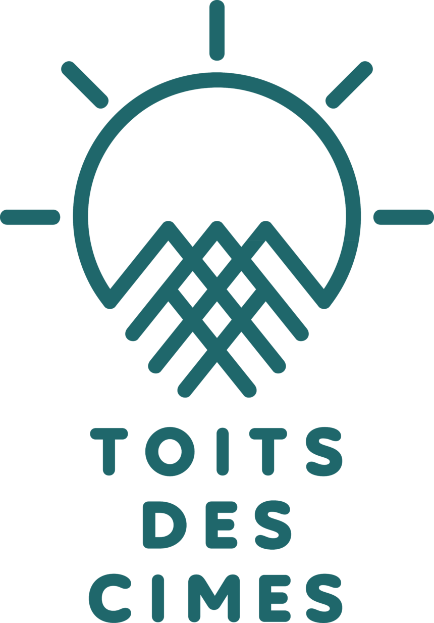 Logo_TDC