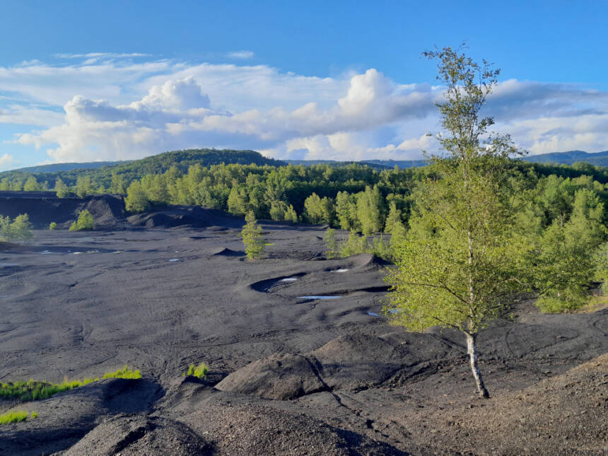 Terrilvoltaique-Ronchamp-Magny-Danigon-terrain-2