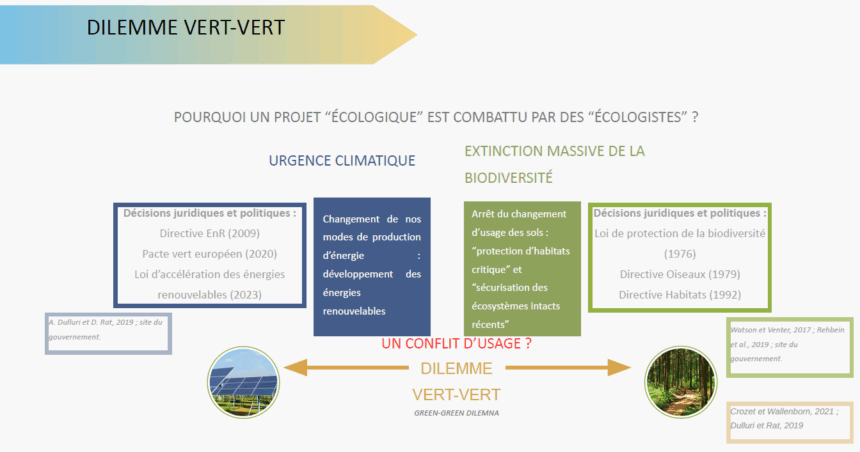 dilemne vert