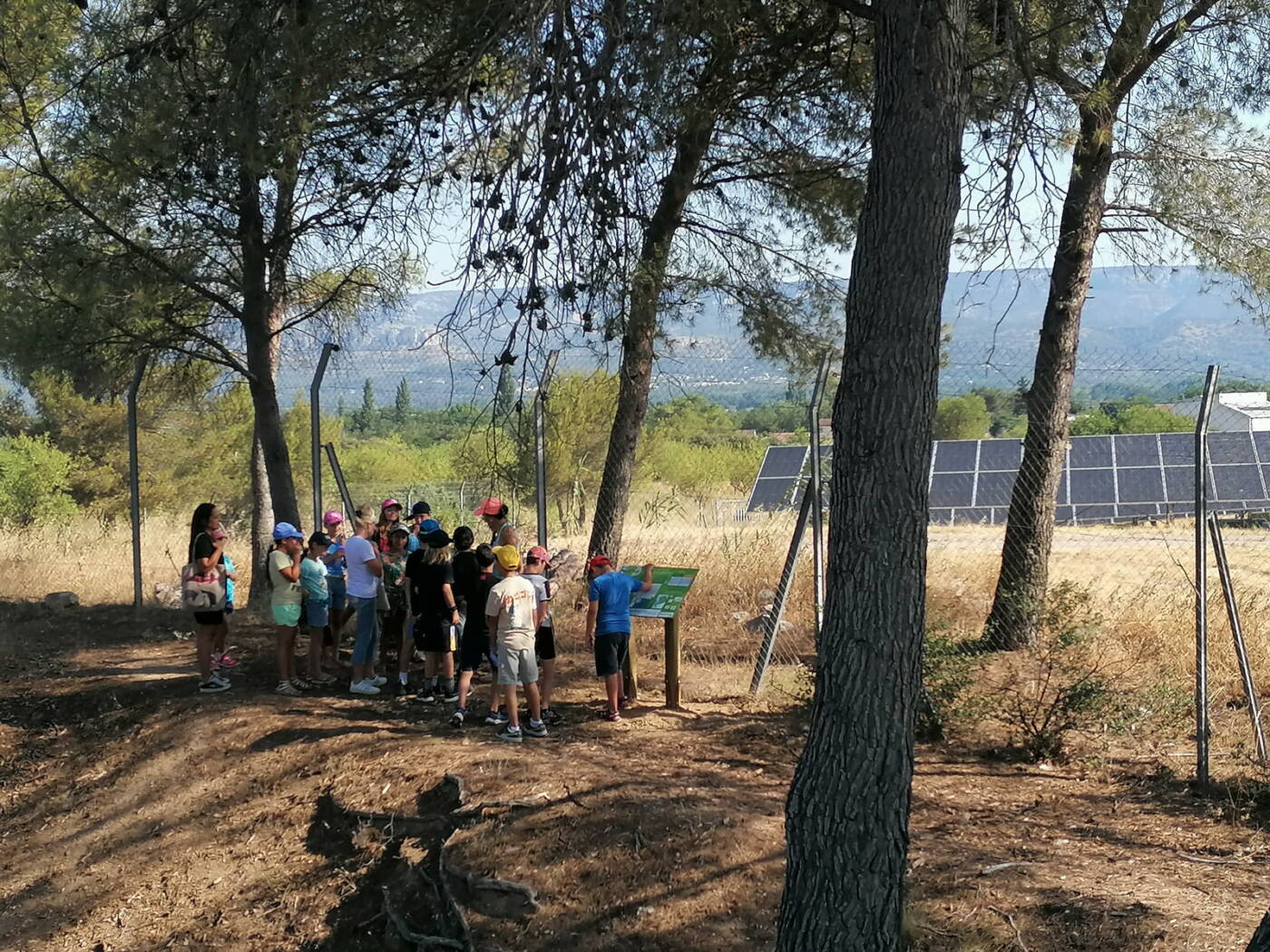 Les élèves de l'école Frédéric Mistral de Mallemort lors de l'inauguration du sentier pédagogique