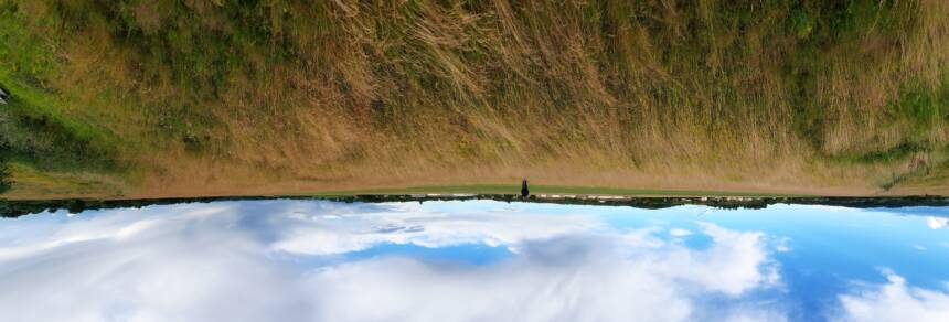 bianlouts-dogneville-terrain