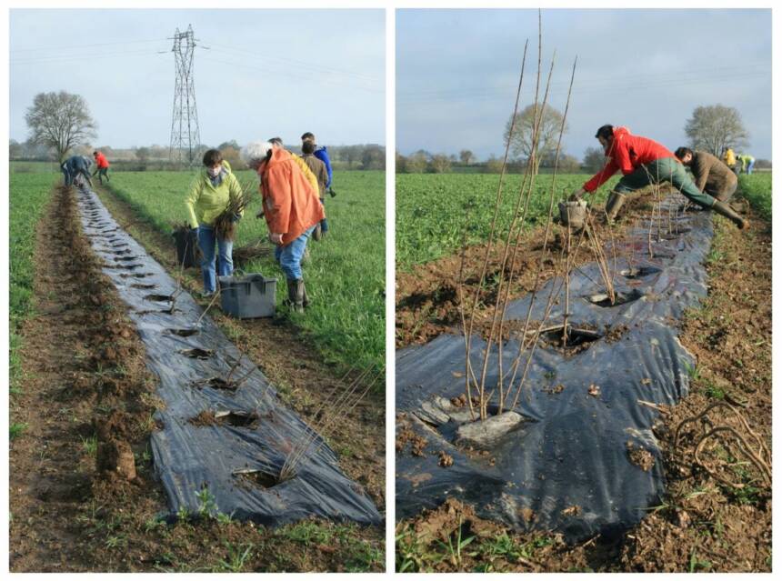Plantation de haies par des bénévoles du parc éolien citoyen de l'Hyrôme, co-financé par Energie Partagée.