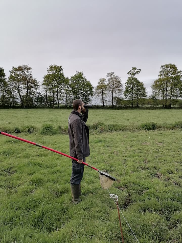 Intervention d'un écologue pour étudier les espèces présentes sur un site pressenti pour un projet éolien.